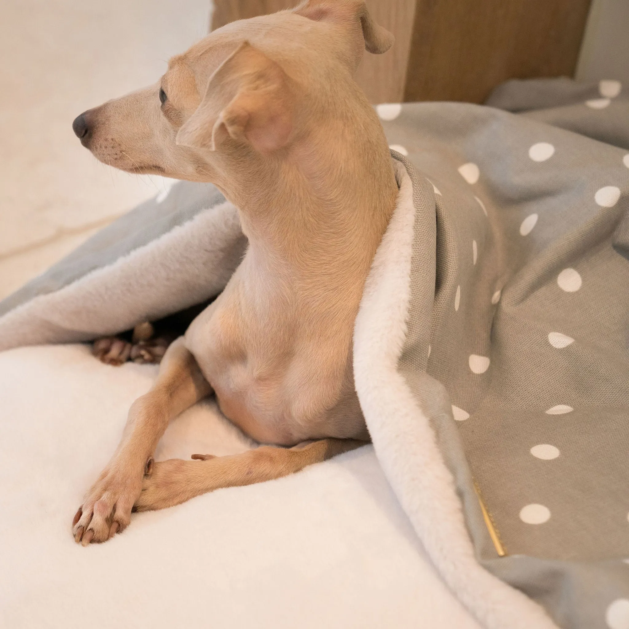 Sleepy Burrows Bed in Grey Spot by Lords & Labradors
