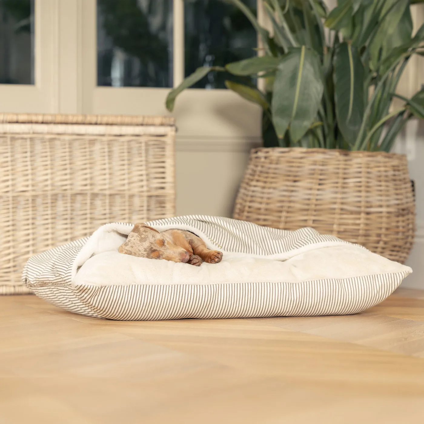 Sleepy Burrows Bed in Regency Stripe by Lords & Labradors