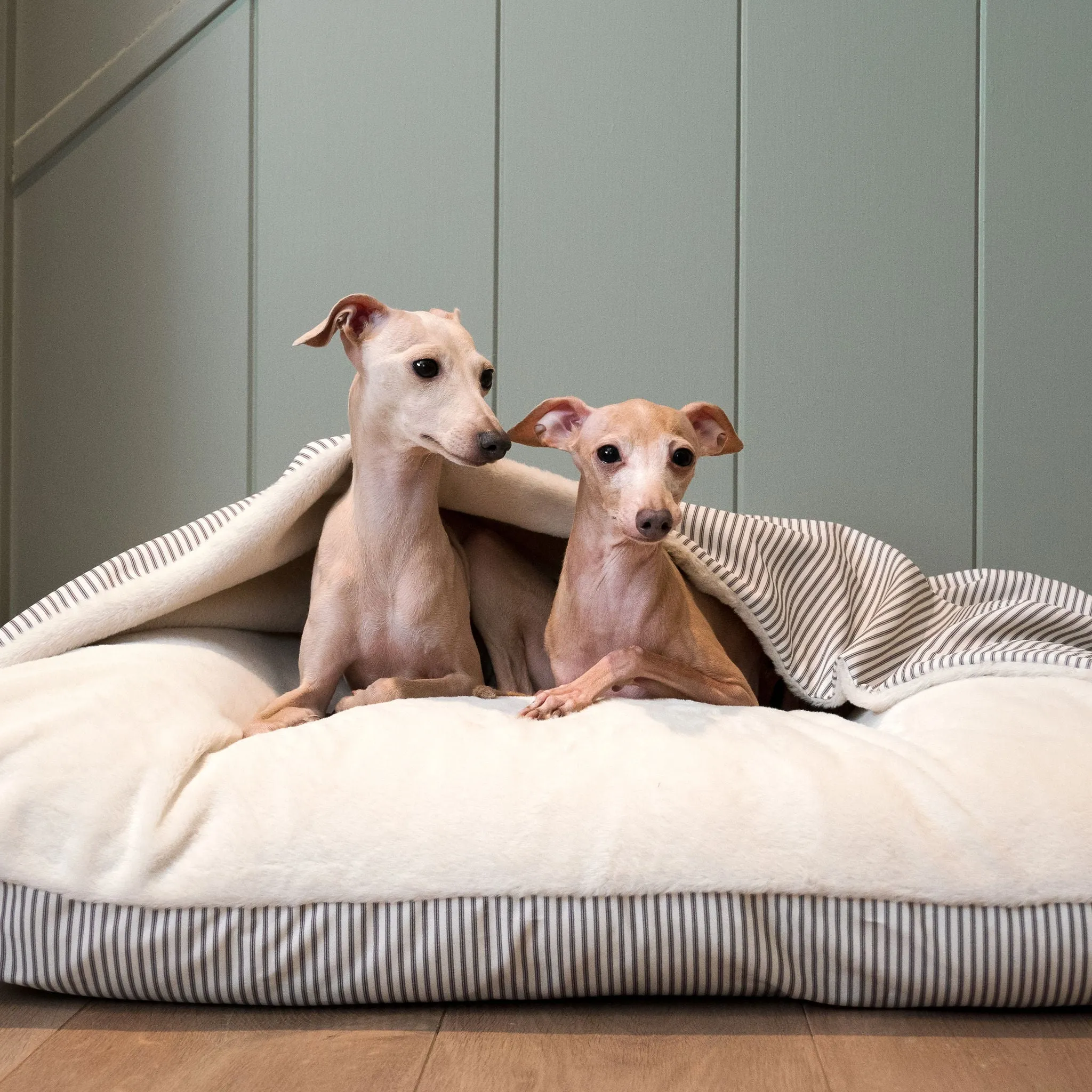 Sleepy Burrows Bed in Regency Stripe by Lords & Labradors