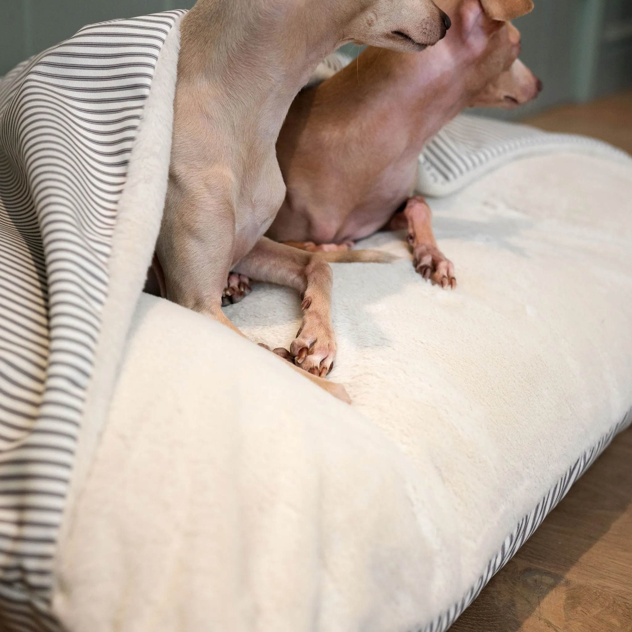Sleepy Burrows Bed in Regency Stripe by Lords & Labradors