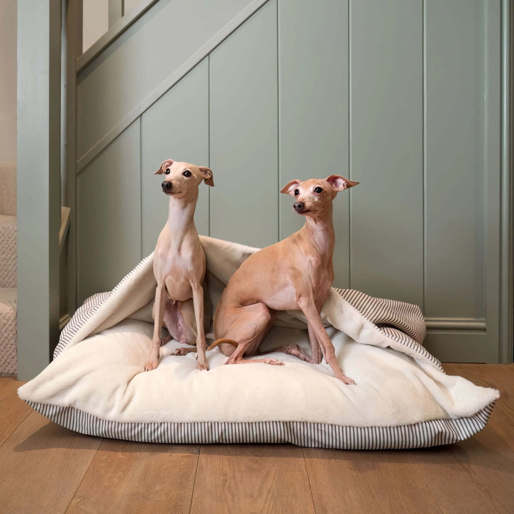 Sleepy Burrows Bed in Regency Stripe by Lords & Labradors