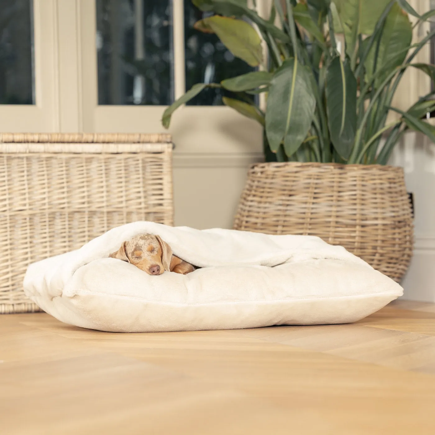 Sleepy Burrows Bed With Removable Cover in Calming Anti-Anxiety Cream Faux Fur by Lords & Labradors
