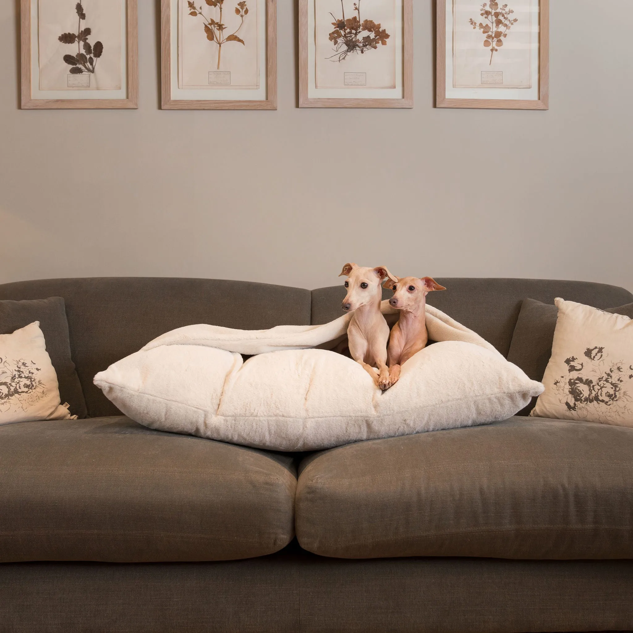 Sleepy Burrows Bed With Removable Cover in Calming Anti-Anxiety Cream Faux Fur by Lords & Labradors