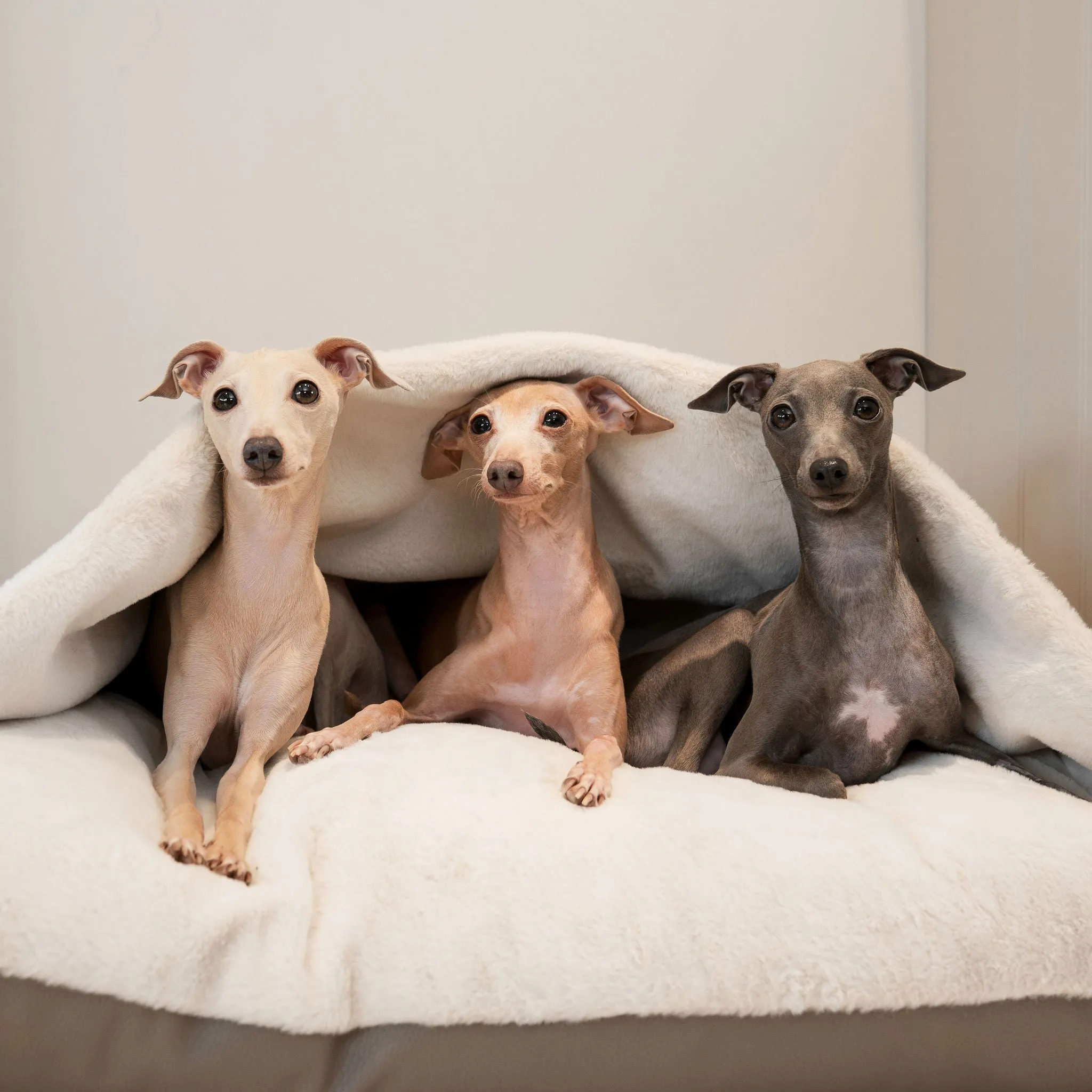 Sleepy Burrows Bed With Removable Cover in Camel Rhino Tough Faux Leather by Lords & Labradors