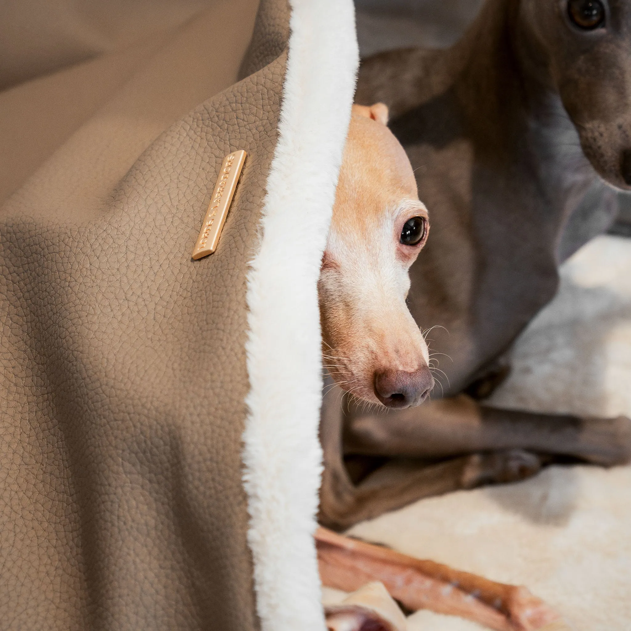 Sleepy Burrows Bed With Removable Cover in Camel Rhino Tough Faux Leather by Lords & Labradors
