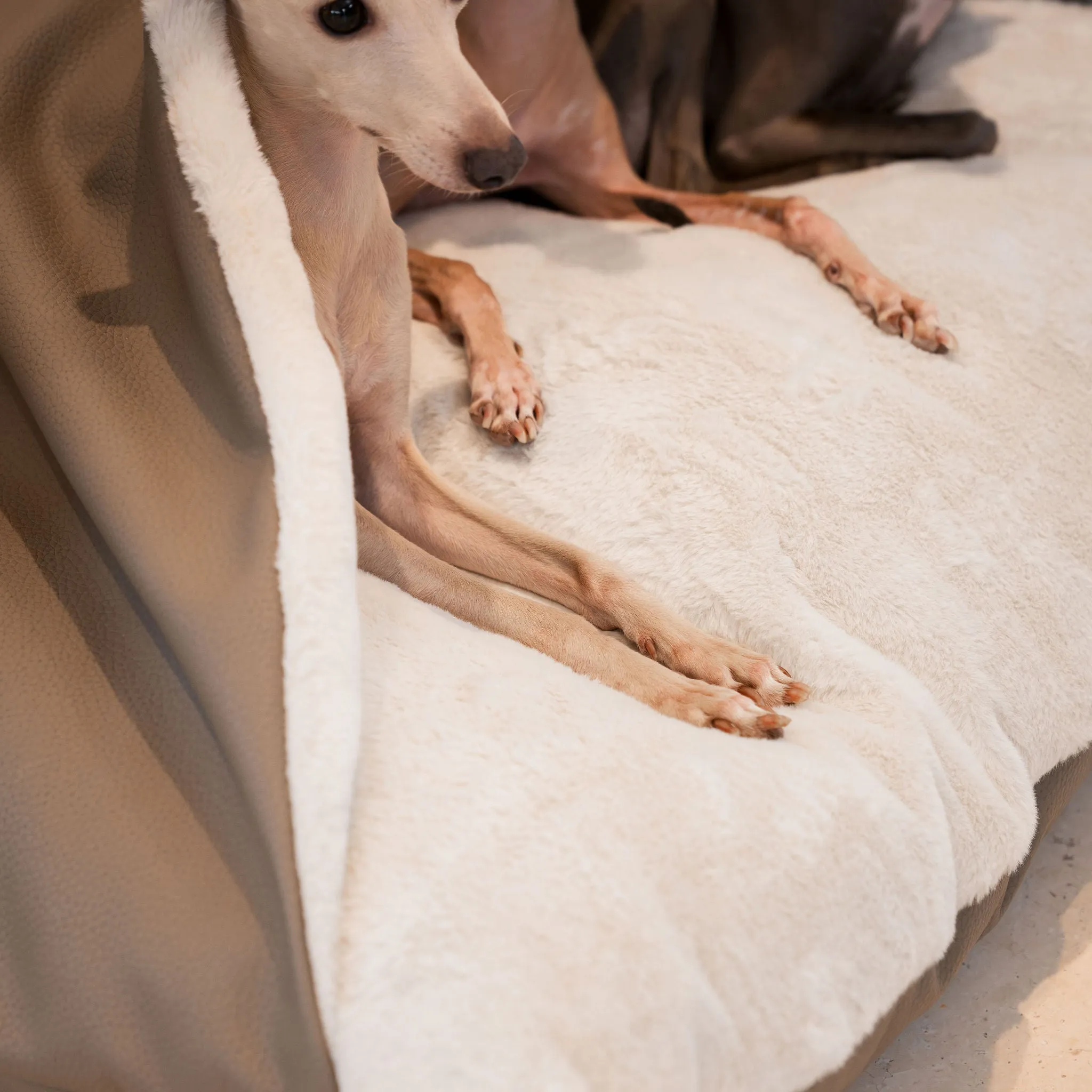Sleepy Burrows Bed With Removable Cover in Camel Rhino Tough Faux Leather by Lords & Labradors