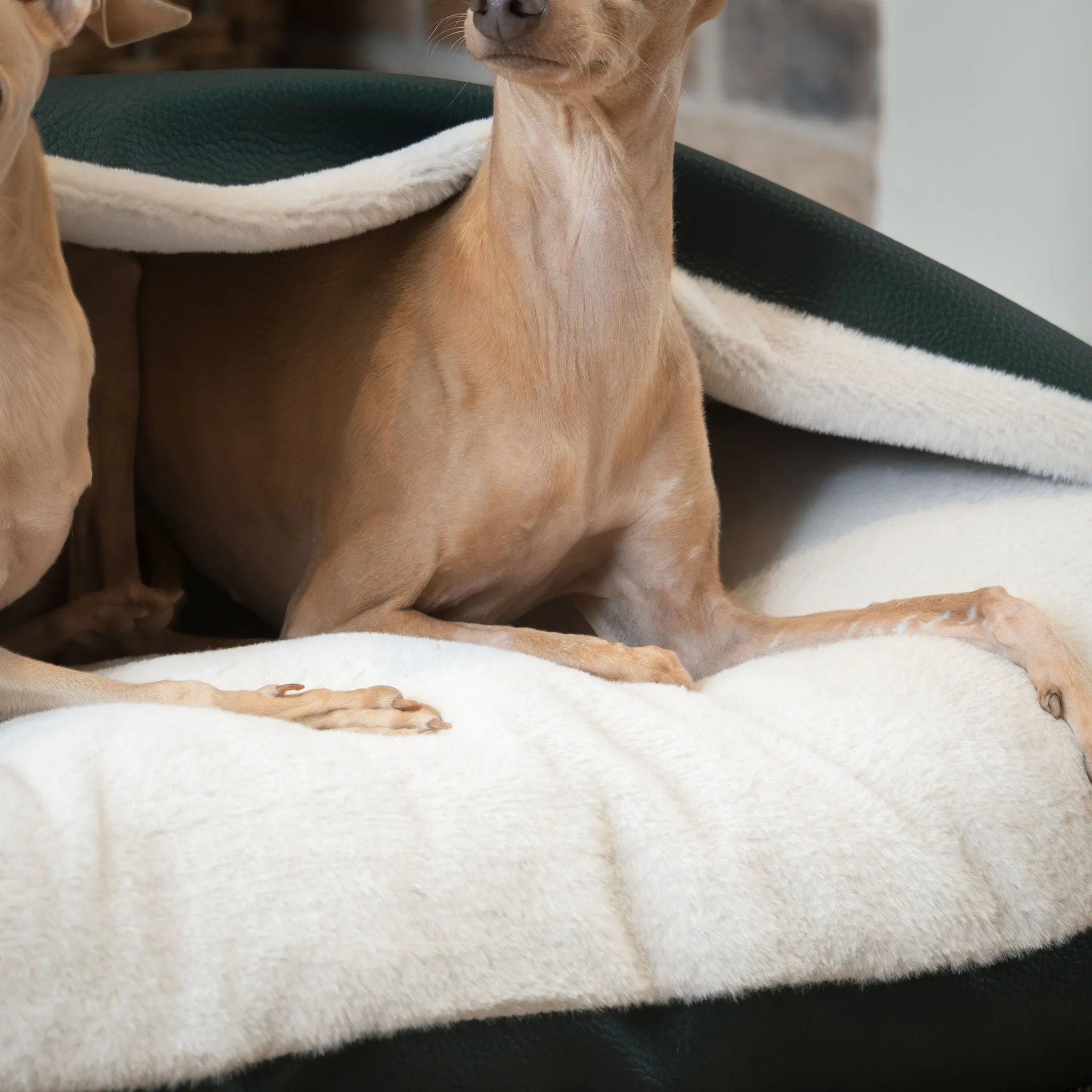Sleepy Burrows Bed With Removable Cover in Forest Rhino Tough Faux Leather by Lords & Labradors