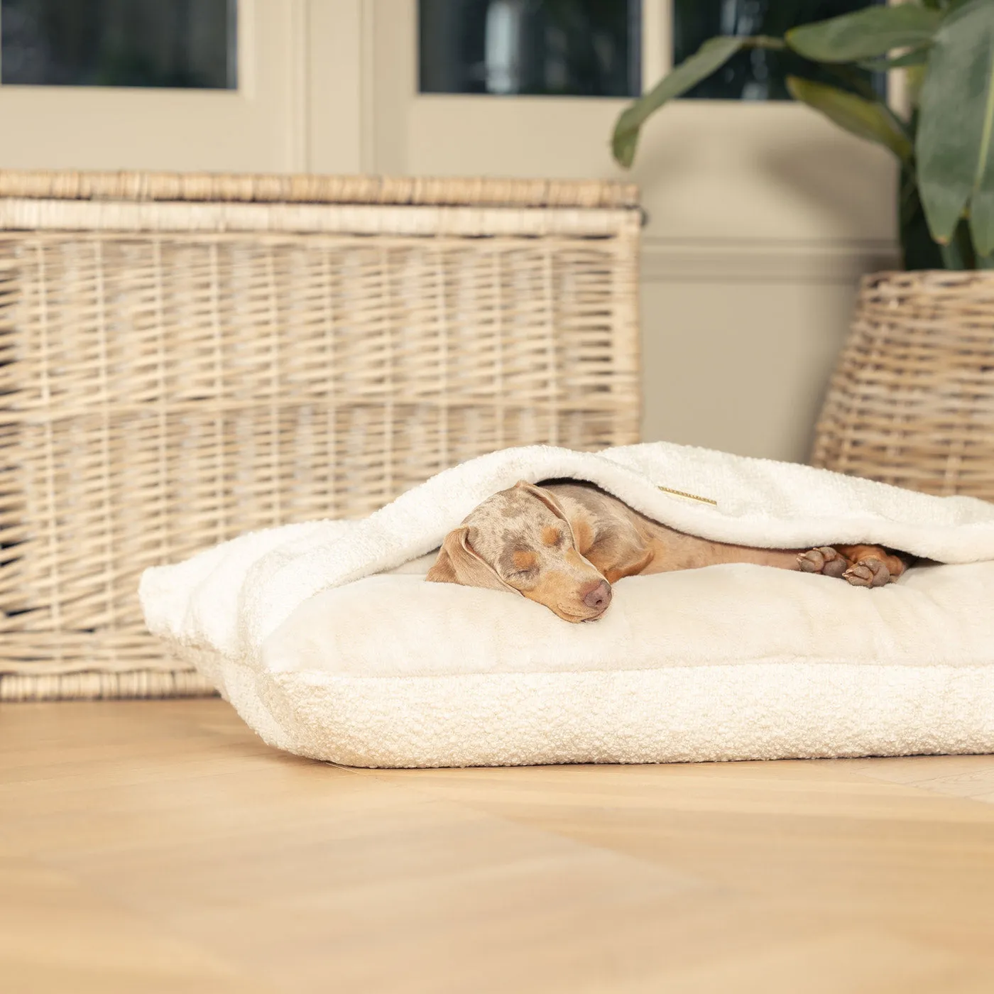 Sleepy Burrows Bed With Removable Cover in Ivory Bouclé by Lords & Labradors