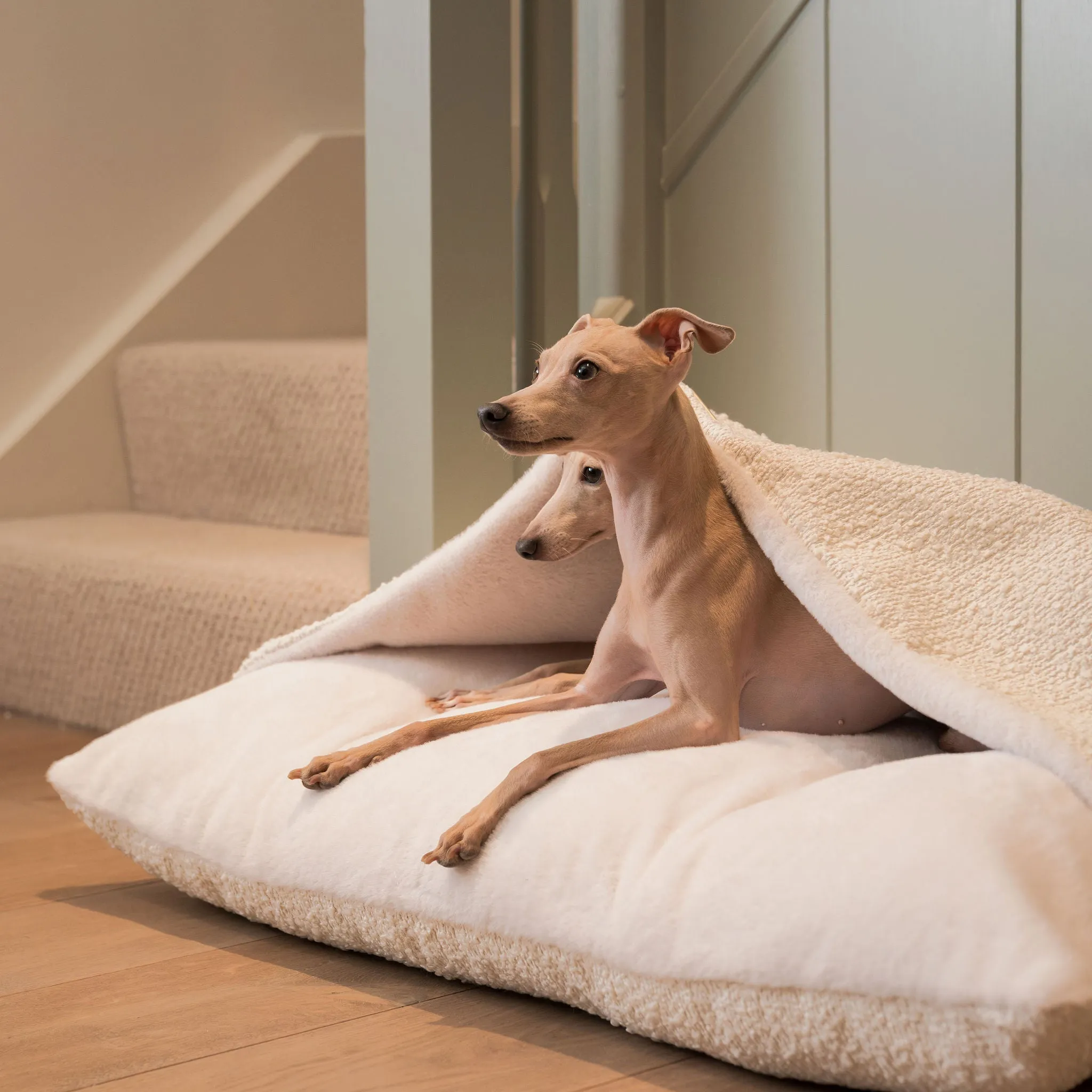 Sleepy Burrows Bed With Removable Cover in Ivory Bouclé by Lords & Labradors