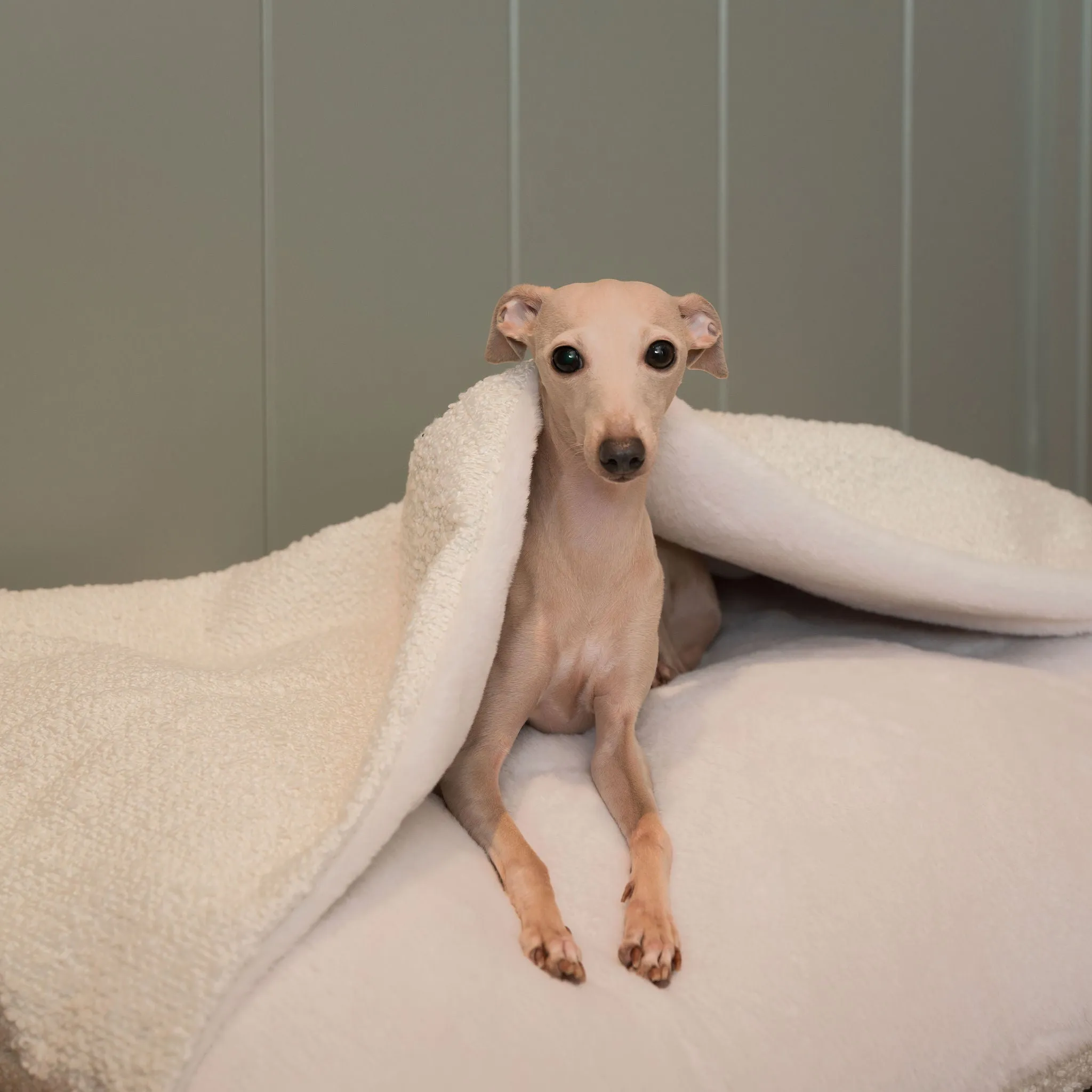 Sleepy Burrows Bed With Removable Cover in Ivory Bouclé by Lords & Labradors
