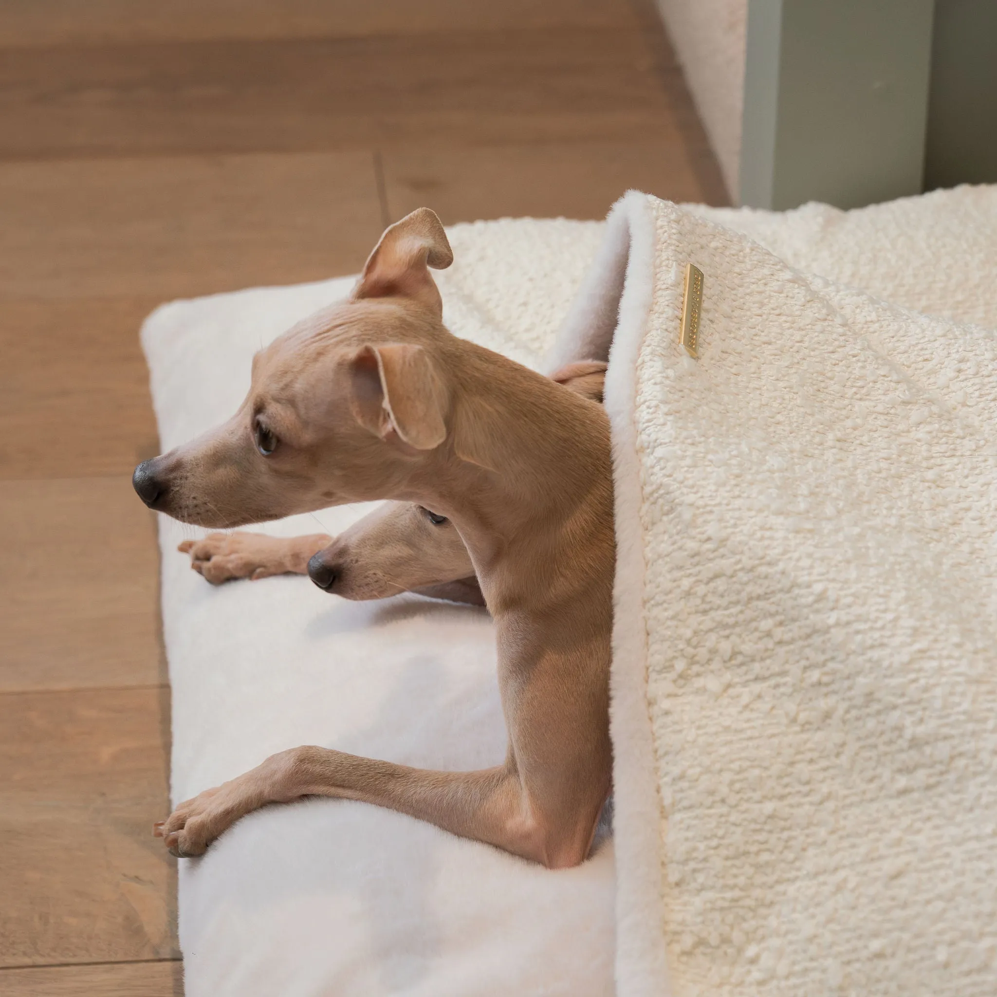 Sleepy Burrows Bed With Removable Cover in Ivory Bouclé by Lords & Labradors
