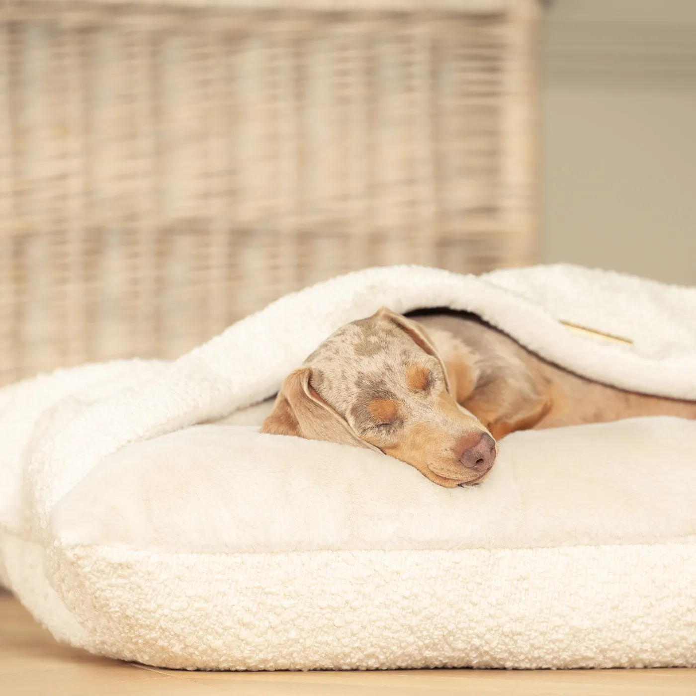 Sleepy Burrows Bed With Removable Cover in Ivory Bouclé by Lords & Labradors