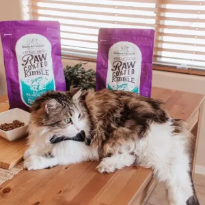 Stella and Chewy's Raw Coated Kibble Dry Cat Food