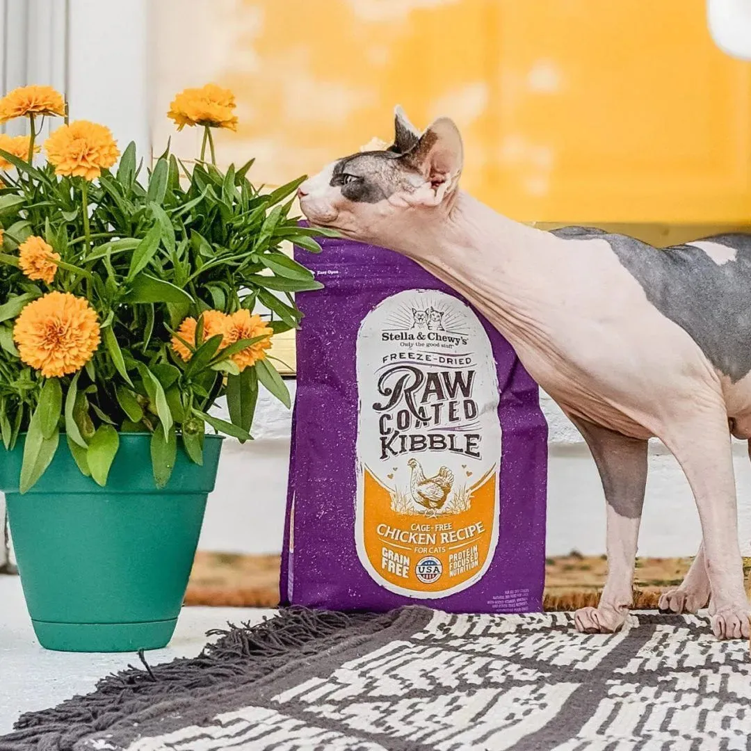 Stella and Chewy's Raw Coated Kibble Dry Cat Food