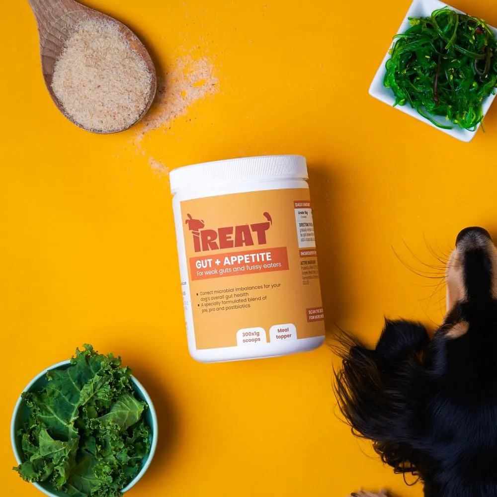 Treat Therapeutics Gut   Appetite Digestive Dog Supplement 300g