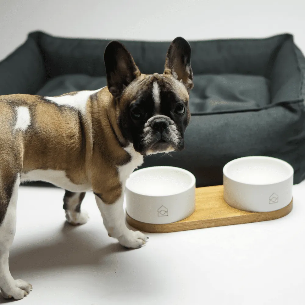 TÖVE Luxury High Side Dog Bed by Labbvenn in Anthracite