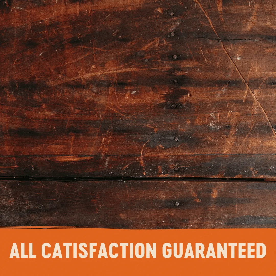 Wellness CORE Tender Cuts with Chicken and Salmon in Gravy Wet Cat Food 85g x 8^^^