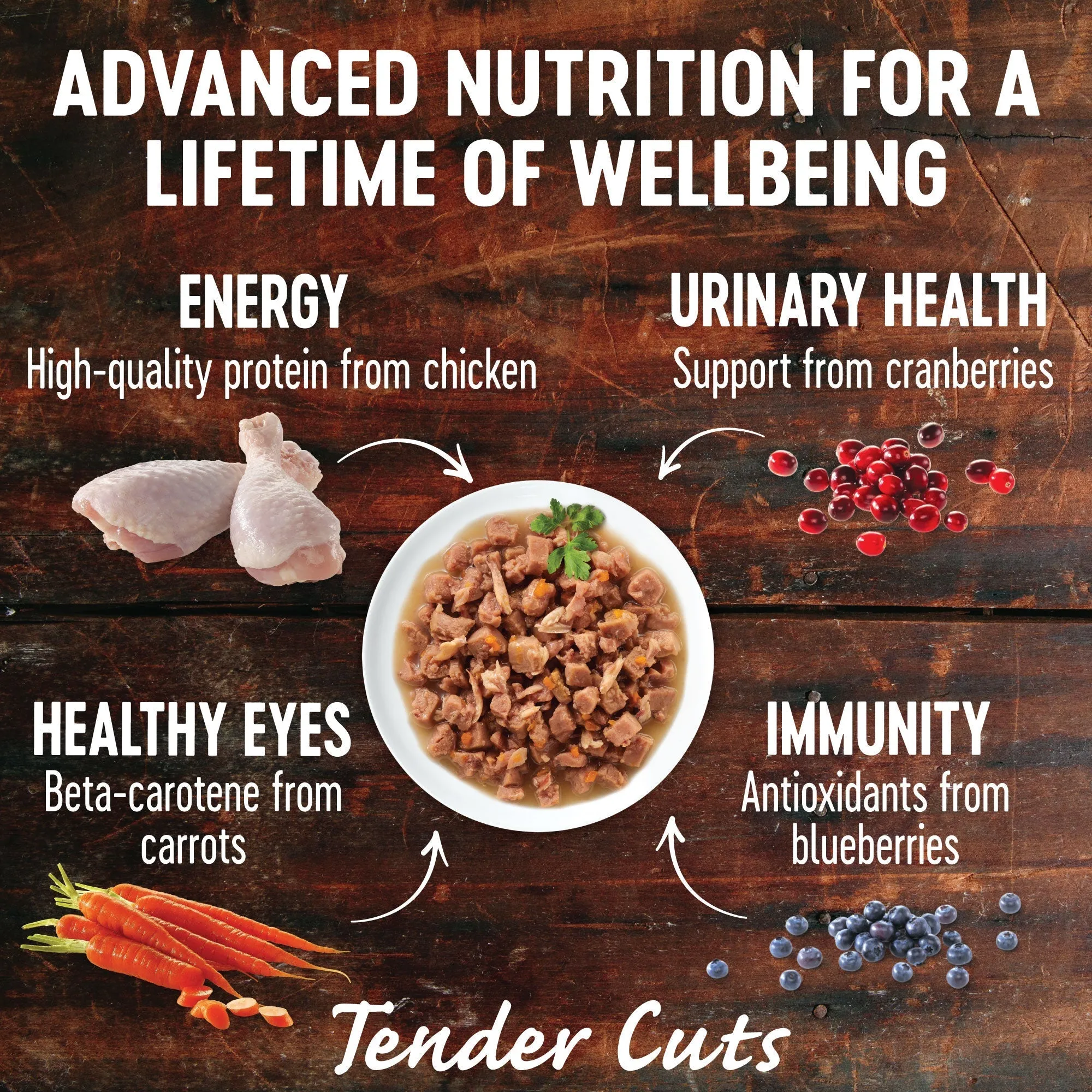 Wellness CORE Tender Cuts with Chicken and Salmon in Gravy Wet Cat Food 85g x 8^^^