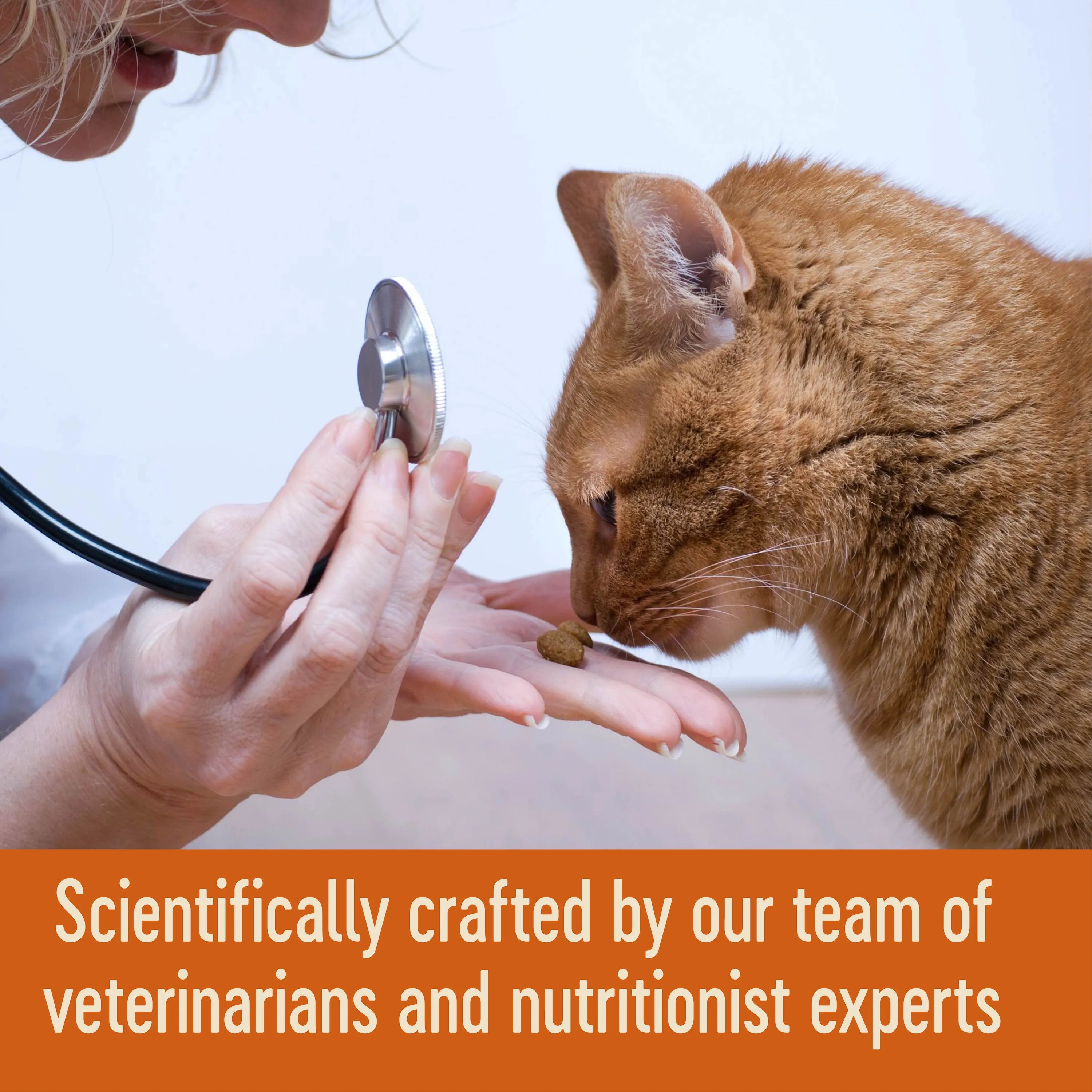 Wellness CORE Tender Cuts with Chicken and Salmon in Gravy Wet Cat Food 85g x 8^^^