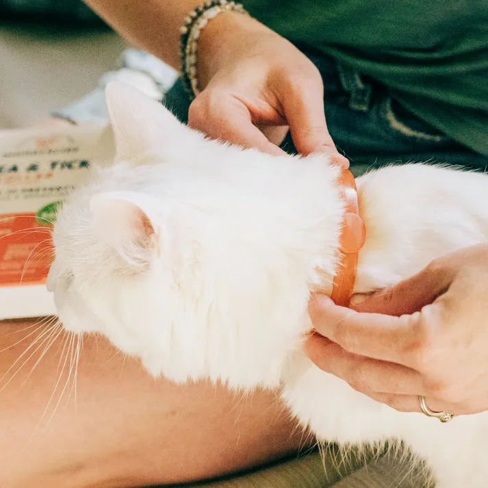 Wondercide Peppermint Flea and Tick Collar For Cats