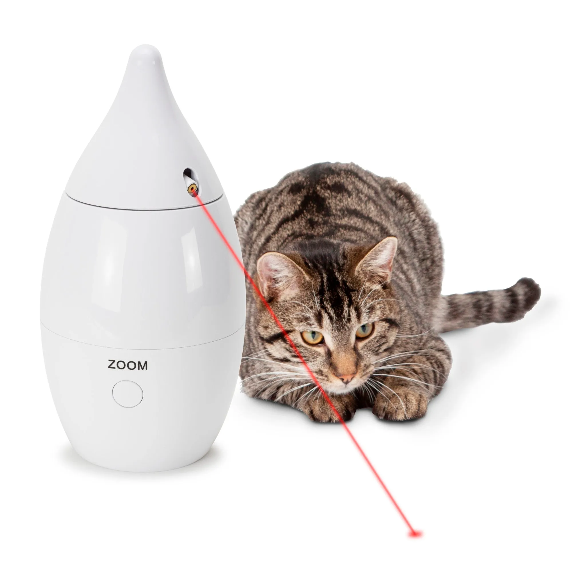 Zoom Laser Toy
